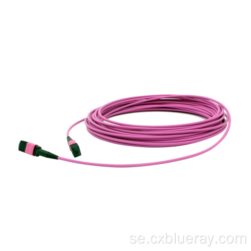 OM4 Violet Optical Fiber Patch Cord Cable Price